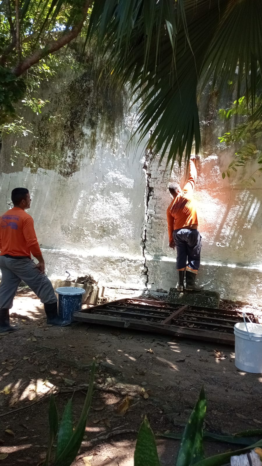Arquivomunicipal Olinda (8)