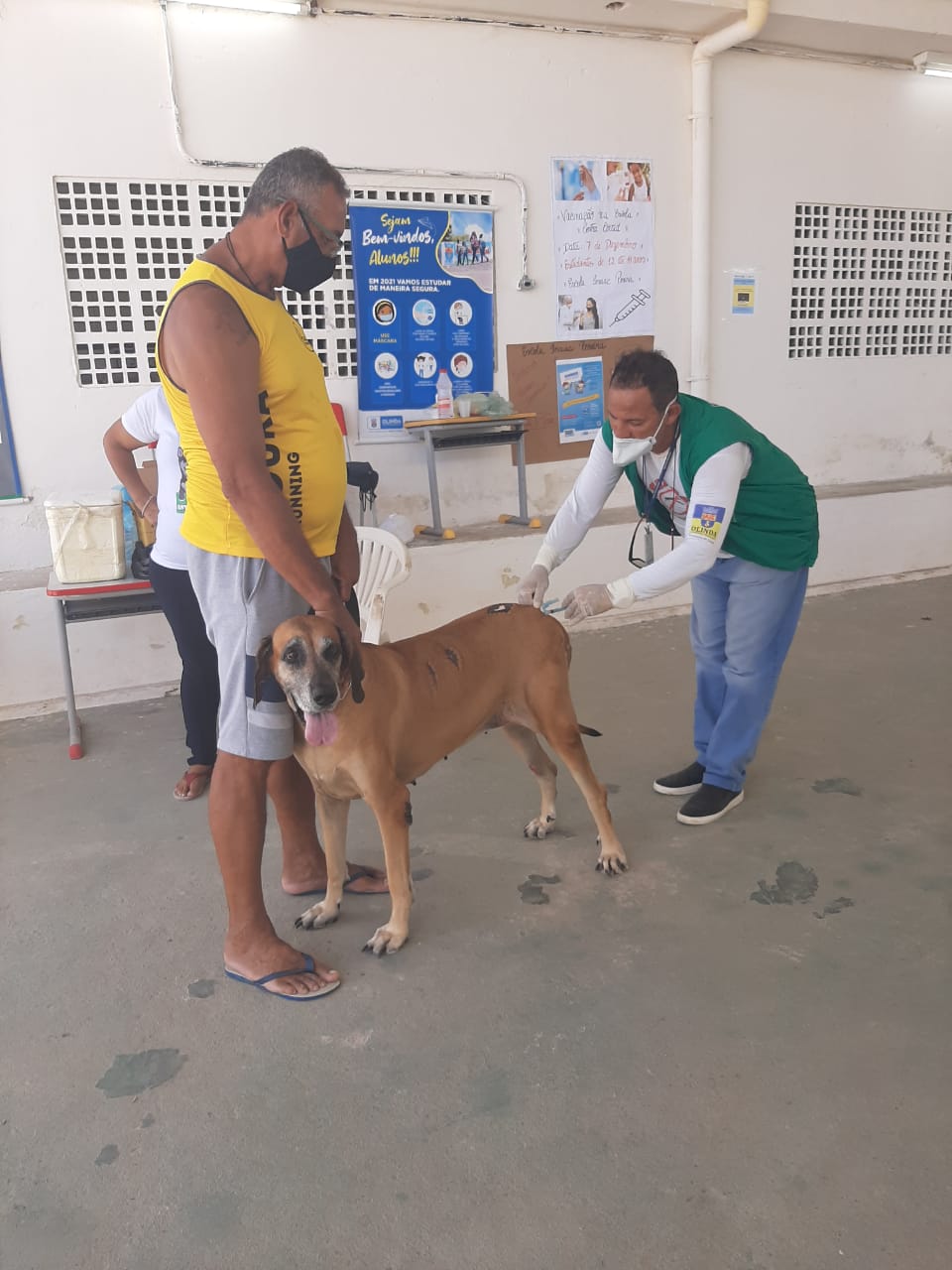 Recife e Olinda promovem vacinação antirrábica para cães e gatos neste  sábado (11) - Folha Pet - Folha PE