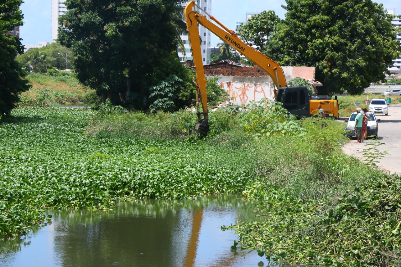 Prefeitura De Olinda Remove Baronesas Em Trecho Do Canal Do Fragoso