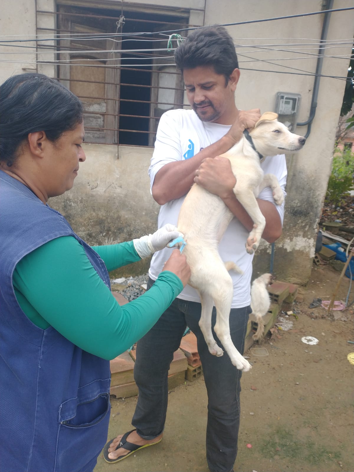 Recife e Olinda promovem vacinação antirrábica para cães e gatos neste  sábado (11) - Folha Pet - Folha PE